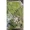 (Fresh) Bael Leaves 20 gms ( Patri )